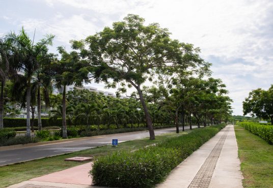 La naturaleza y el diseño pueden convivir en perfecta armonía, y el paisajismo funcional es la clave