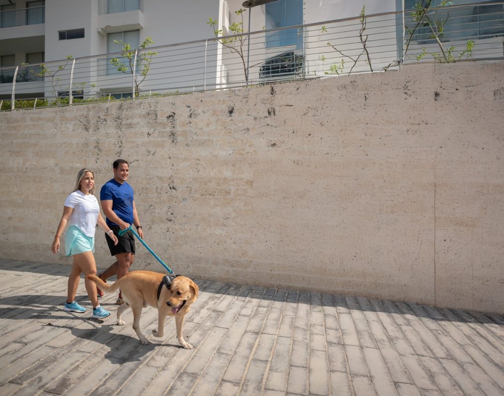 Rol de las mascotas en ciudades en Serena del Mar