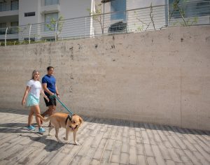 Rol de las mascotas en ciudades en Serena del Mar