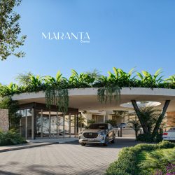 Maranta Contree