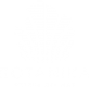 Botanika